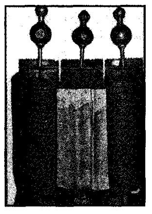 Scrolls