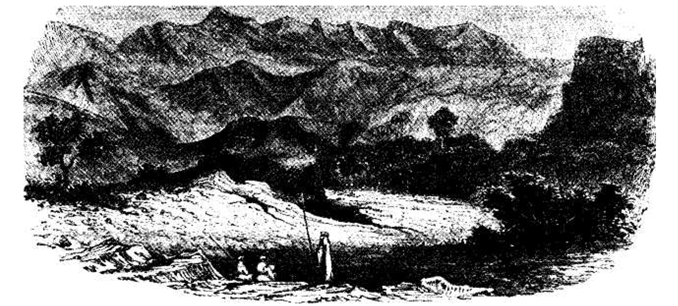 only nine of the twelve wells remain