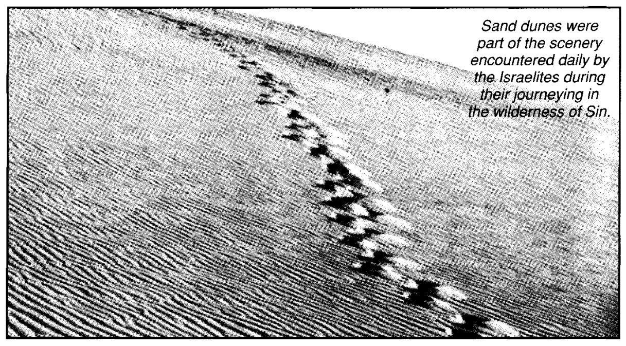 Sand dunes were part of the scenery encountered daily by the Israelites during their journeying in ihe wilderness of Sin