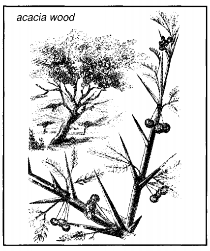 acacia wood