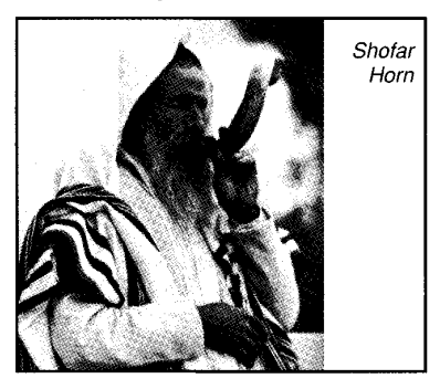 Shofar horn