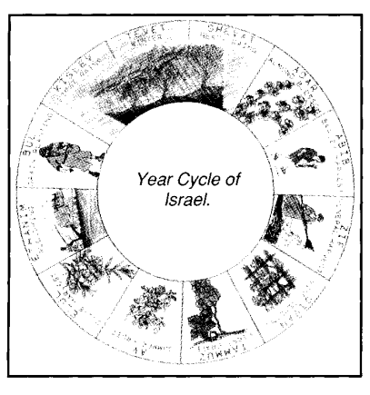 Year Cycle of Israel