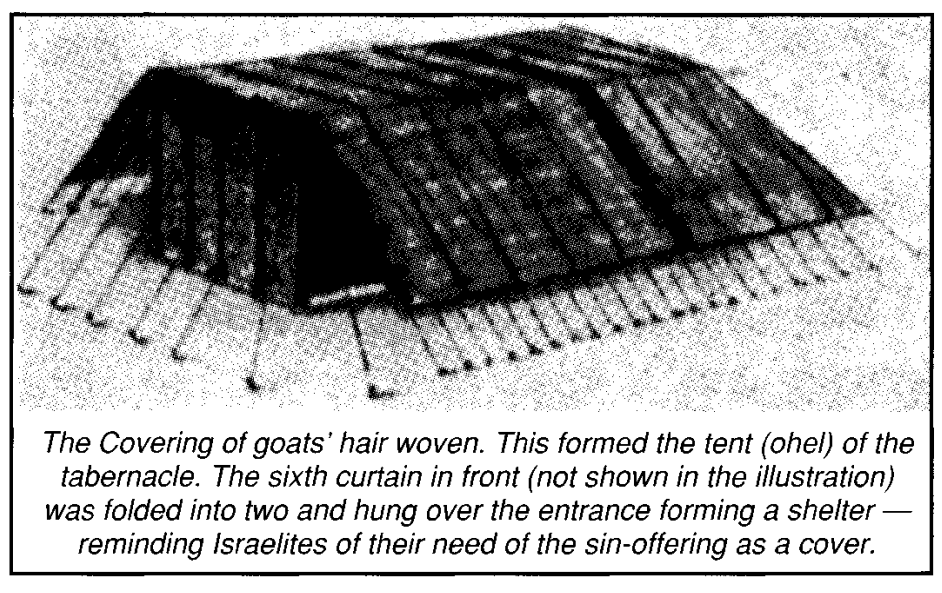 The Covering of goats' hair woven. This formed the tent (ohel) of the tabernacle. The sixth curtain in front (not shown in the illustration) was folded into two and hung over the entrance forming a shelter —reminding Israelites of their need of the sin-offering as a cover.