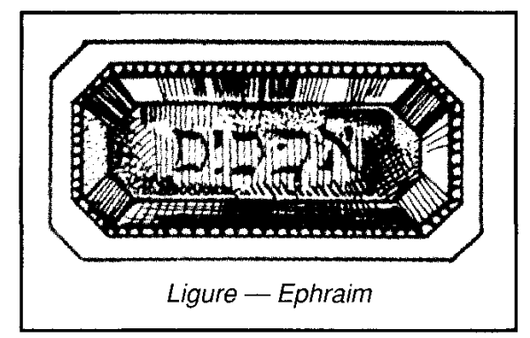 Ligure - Ephraim
