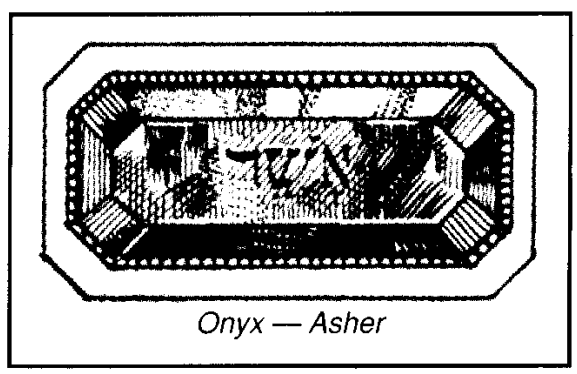 Onyx - Asher