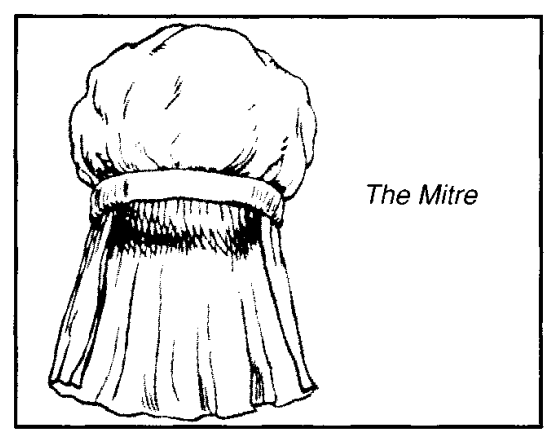 The Mitre