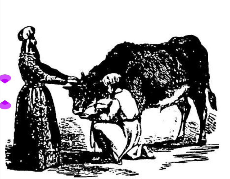 Bull offering