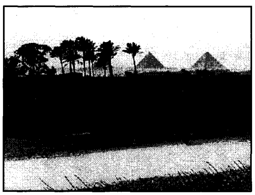 In the land of Goshen, with a distant view of the pyramids of Gizeh. In foreground is an irrigation canal.
