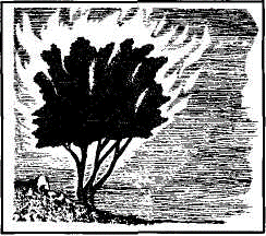 The revelation to Moses at the bush