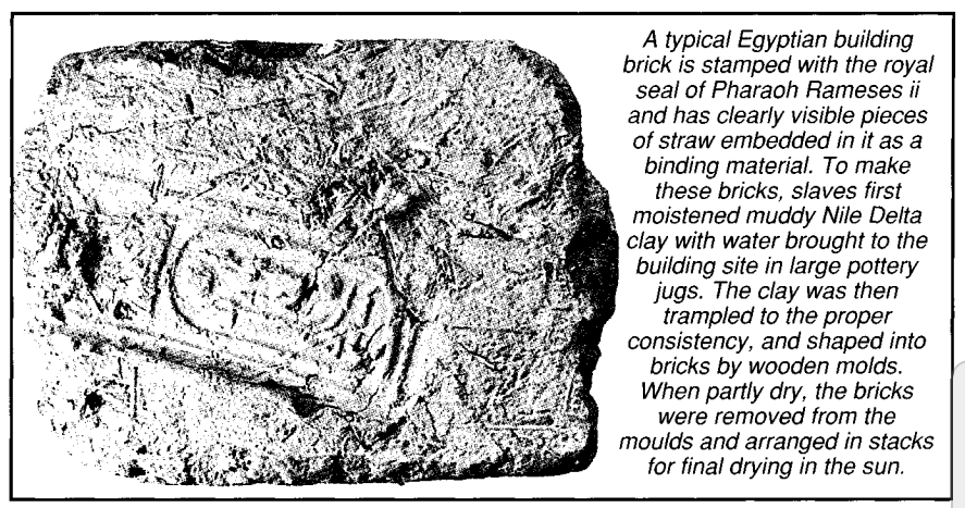 A typical Egyptian building  brick is stamped with the royal  seal of Pharaoh Rameses ii  and has clearly visible pieces  of straw embedded in it as a  binding material. To make  these bricks, slaves first  moistened muddy Nile Delta  | clay with water brought to the  building site in large pottery  jugs. The clay was then  trampled to the proper  consistency, and shaped into  bricks by wooden molds.  When partly dry, the bricks  were removed from the  moulds and arranged in stacks  for final drying in the sun.
