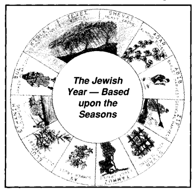 The Jewish Year - Based upon the seasons