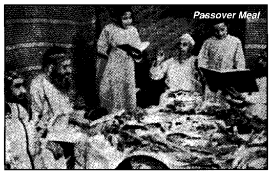 Passover Meal